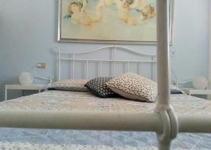 Phiniscollis 拉卡勒塔