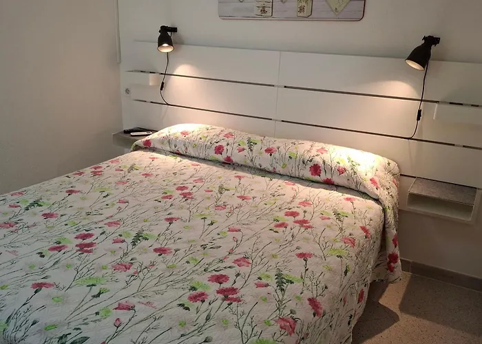 Phiniscollis 拉卡勒塔