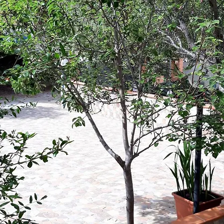 Phiniscollis Bed & Breakfast La Caletta