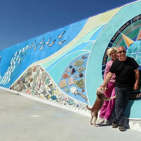 Phiniscollis Bed & Breakfast 3*